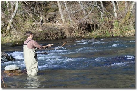 Fishing Along The Rogue River