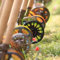 The colorful lines and numerous rods begged to be tested on the water.